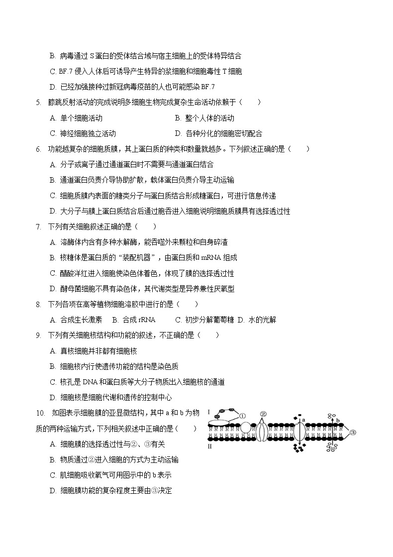 重庆市缙云教育联盟2022-2023学年高一上学期期末联考生物试卷02