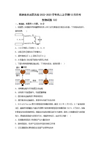 湖南省株洲市天元区名校2023届高三生物上学期12月月考（A）试卷（Word版附答案）