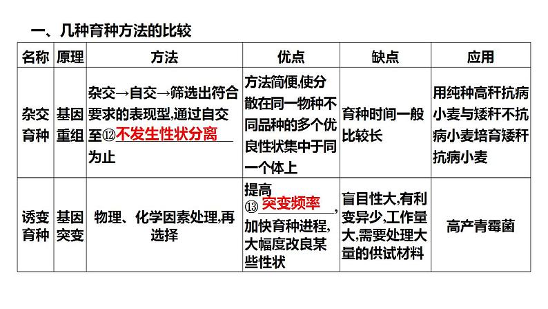 2022届高三生物一轮复习课件:生物育种的原理及应用(3)第3页