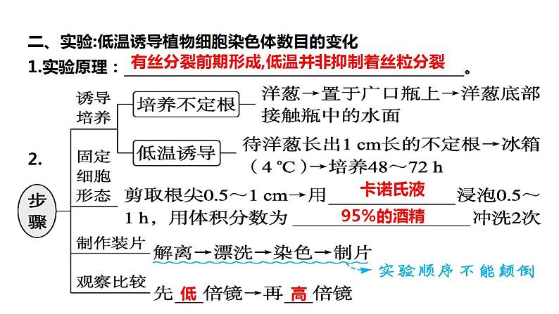 2022届高三生物一轮复习课件:生物育种的原理及应用(3)第5页