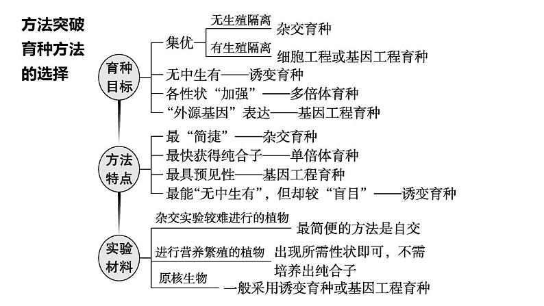 2022届高三生物一轮复习课件:生物育种的原理及应用(3)第8页