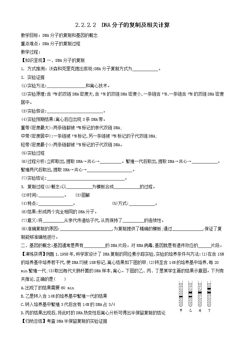 2023届高三生物一轮复习教案 DNA分子的复制及相关计算第1页