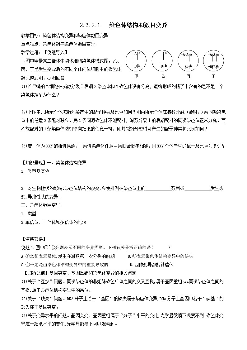 2023届高三生物一轮复习教案:染色体结构和数目变异第1页