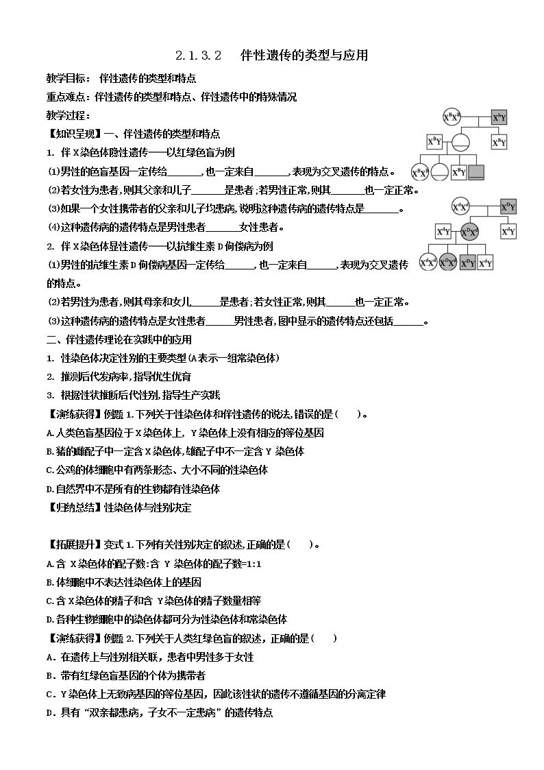 2023届高三生物一轮复习教案伴性遗传的类型与应用01