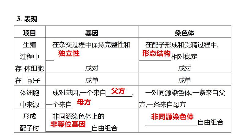 2023届高三生物一轮复习课件 基因在染色体上的假说与证据第3页
