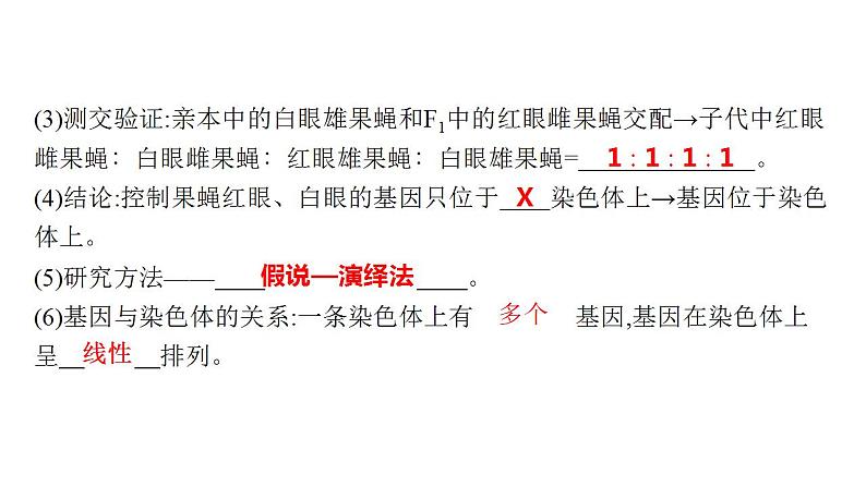 2023届高三生物一轮复习课件 基因在染色体上的假说与证据第6页