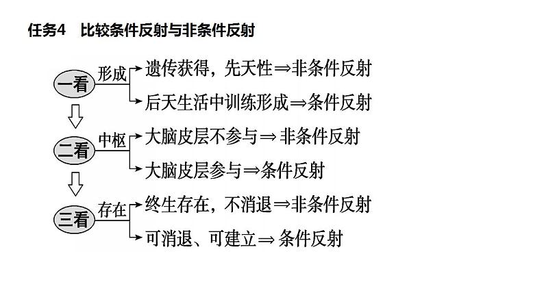 2023届高三生物一轮复习课件:神经调节的基本方式和结构基础第6页