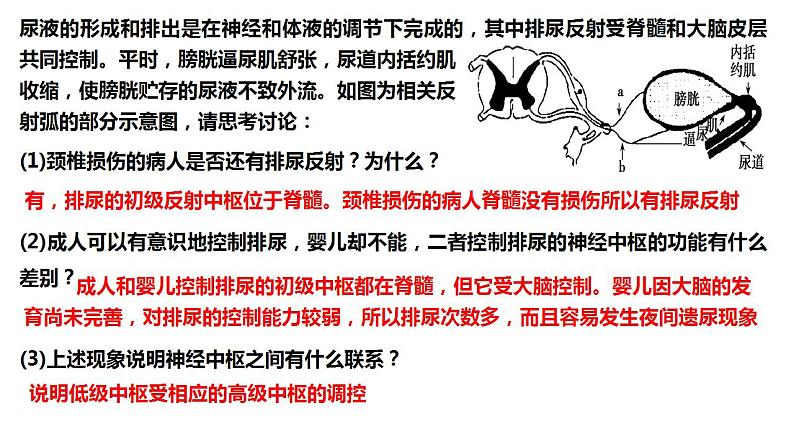 2023届高三生物一轮复习课件:神经系统的分级调节和人脑的高级功能第2页