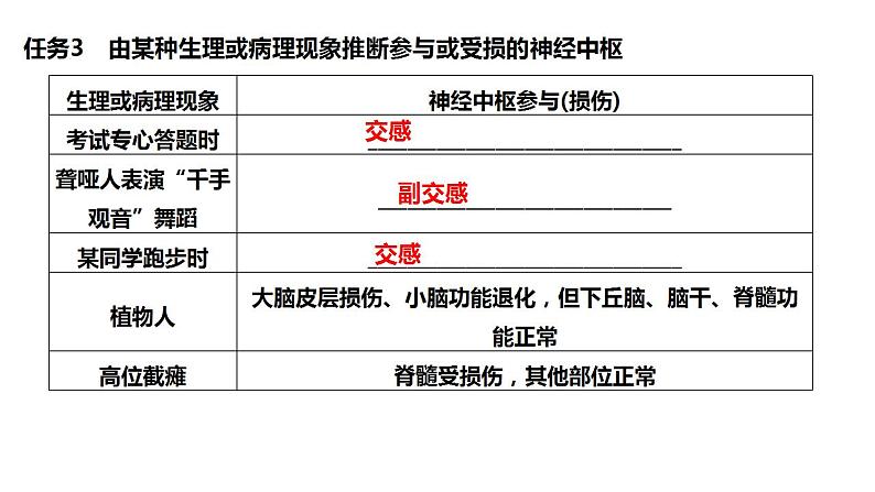 2023届高三生物一轮复习课件:神经系统的分级调节和人脑的高级功能第6页