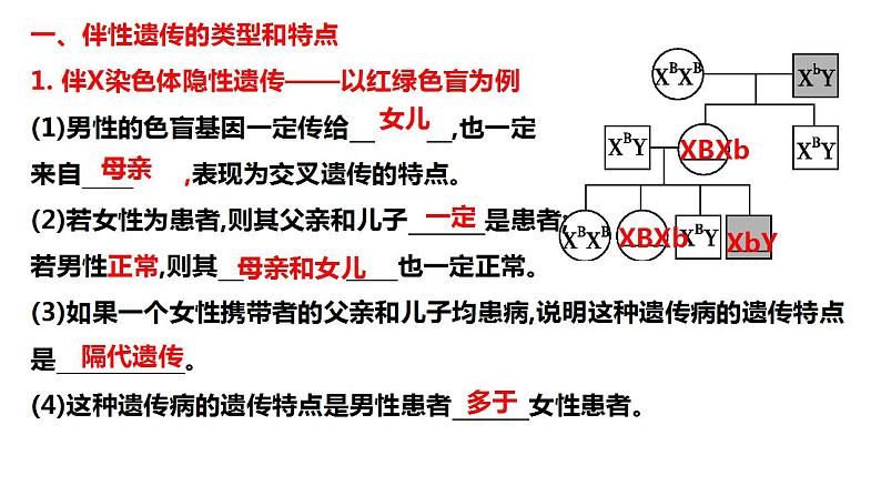 2023届高三生物一轮复习课件伴性遗传的类型与应用第2页
