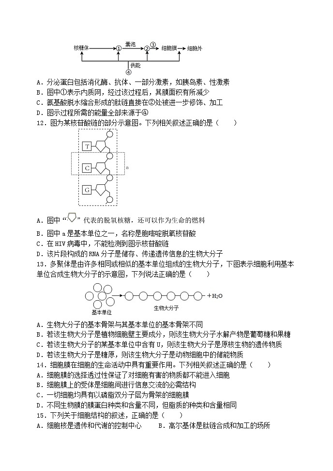2023石家庄二中教育集团-高一上学期期末四校联考试题生物含答案03