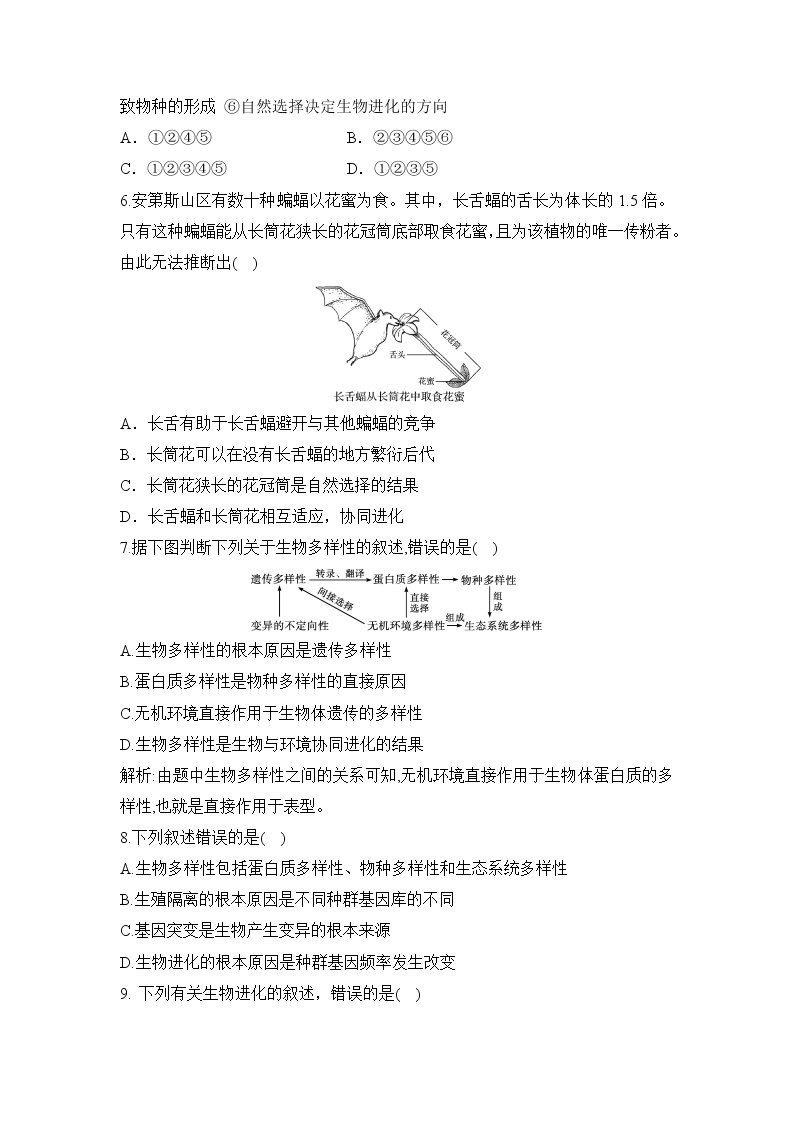 【核心素养】人教版高中生物必修二6.4《协同进化与生物多样性的形成》课件PPT+教案+练习02