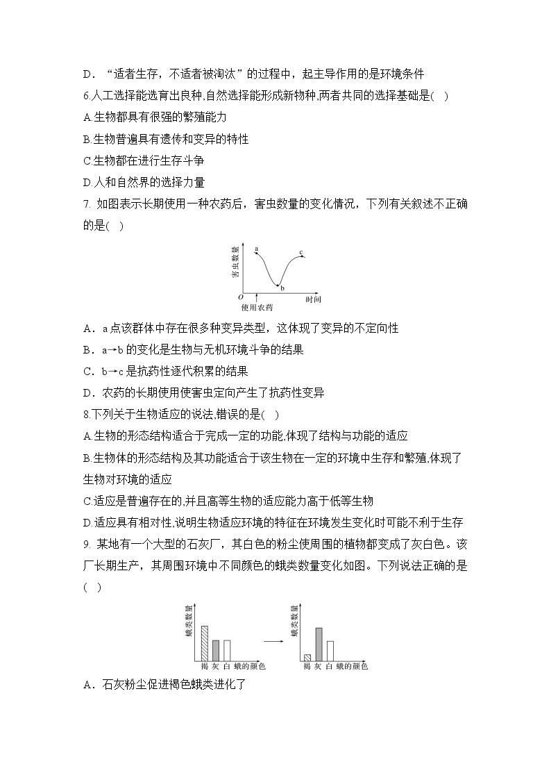 【核心素养】人教版高中生物必修二6.2《自然选择与适应的形成》课件PPT+教案+练习02