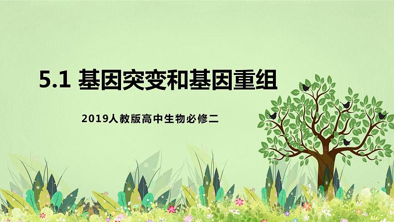 【核心素养】人教版高中生物必修二5.1《基因突变和基因重组》课件PPT+教案+练习01