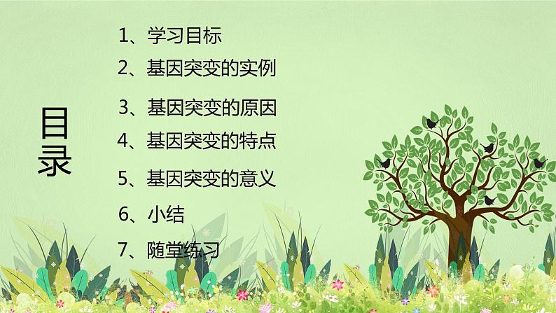 【核心素养】人教版高中生物必修二5.1《基因突变和基因重组》课件PPT+教案+练习04