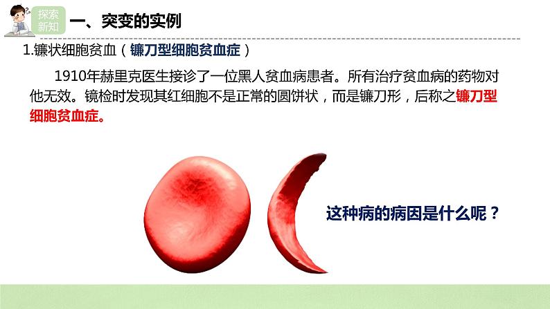 【核心素养】人教版高中生物必修二5.1《基因突变和基因重组》课件PPT+教案+练习06