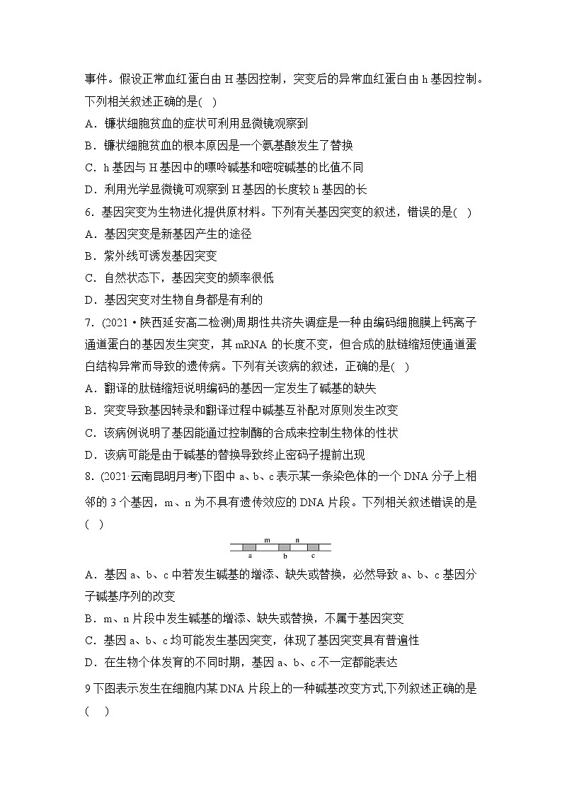 【核心素养】人教版高中生物必修二5.1《基因突变和基因重组》课件PPT+教案+练习02