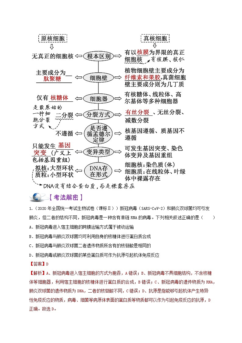 解密02 细胞的结构与功能(讲义)-【高频考点解密】高考生物二轮复习讲义+分层训练(全国通用)03