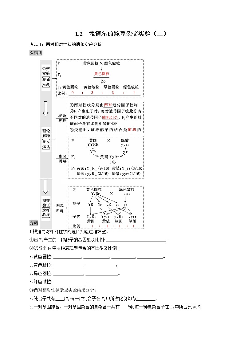 1.2 孟德尔的豌豆杂交实验(二)-最新高一下学期生物同步考点精讲精练(人教版2019必修2)(原卷版)第1页