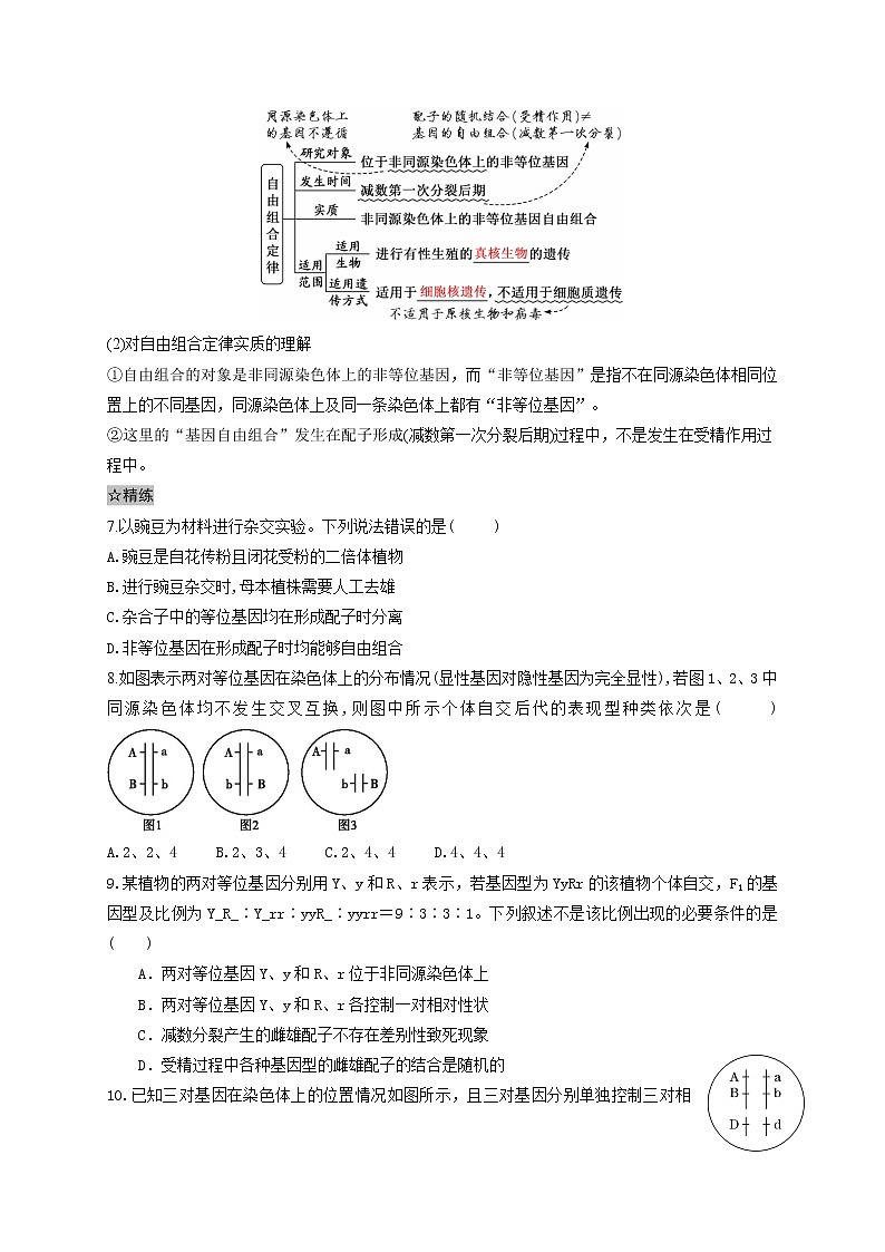 1.2 孟德尔的豌豆杂交实验(二)-最新高一下学期生物同步考点精讲精练(人教版2019必修2)(原卷版)第3页