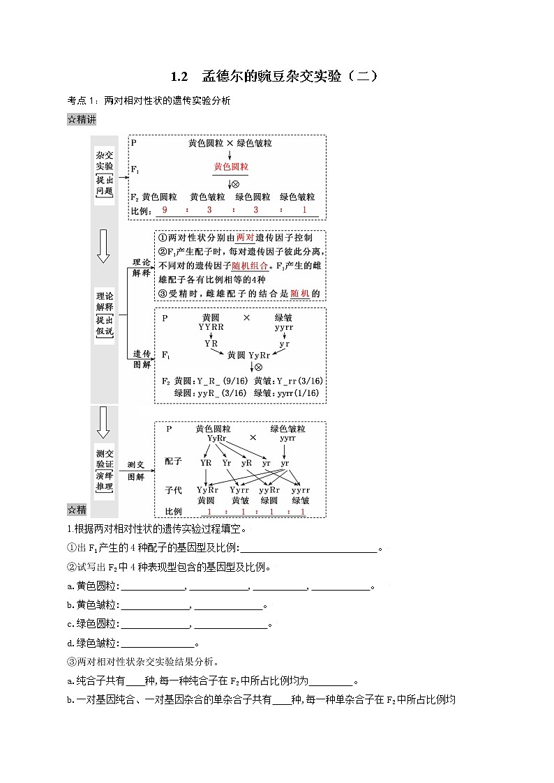 1.2 孟德尔的豌豆杂交实验(二)-最新高一下学期生物同步考点精讲精练(人教版2019必修2)(解析版)第1页