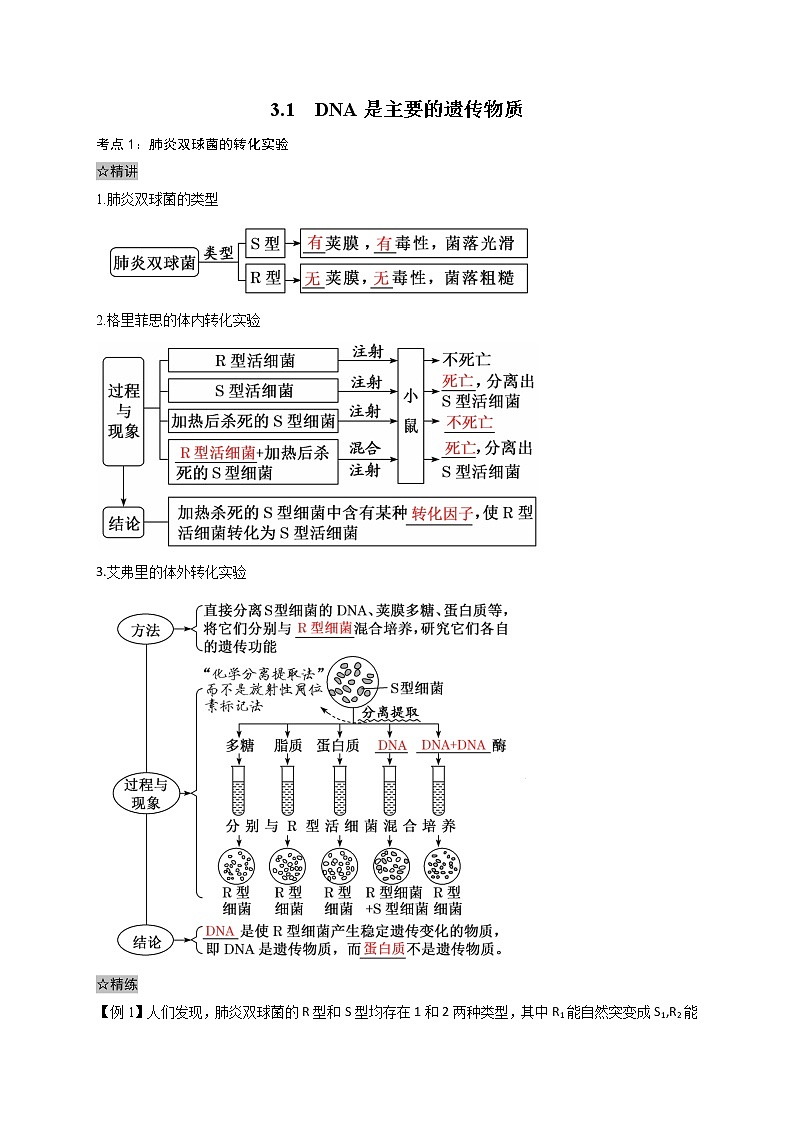 3.1 DNA是主要的遗传物质-最新高一下学期生物同步考点精讲精练(人教版2019必修2)(原卷版)第1页