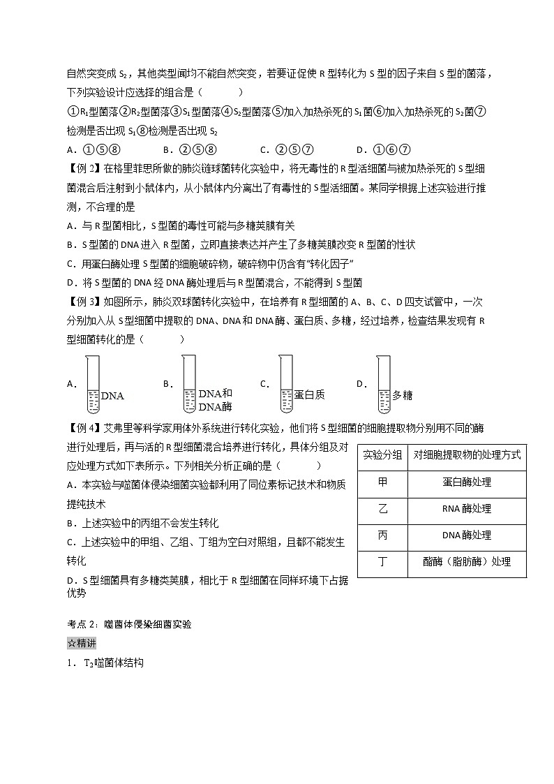 3.1 DNA是主要的遗传物质-最新高一下学期生物同步考点精讲精练(人教版2019必修2)(原卷版)第2页