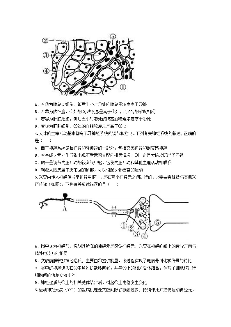 湖北省孝感市2022-2023学年高二生物上学期1月期末考试试卷(Word版附解析)第2页