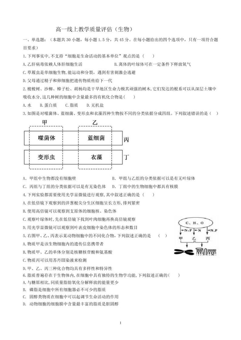 2023济南历城二中高一上学期期末考试生物PDF版含答案（可编辑）01