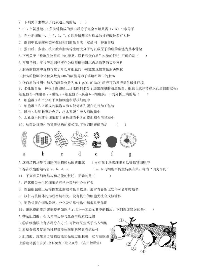 2023济南历城二中高一上学期期末考试生物PDF版含答案（可编辑）02