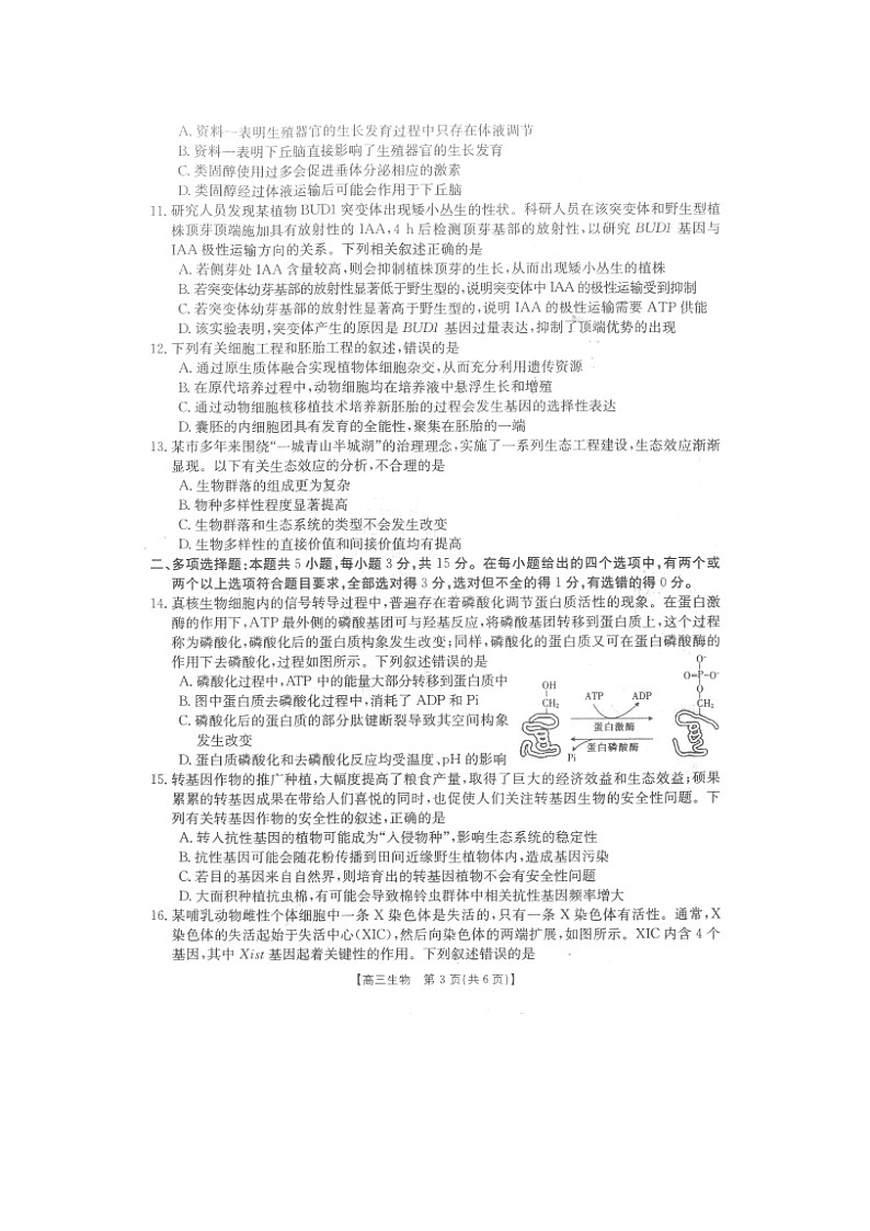 生物第3页