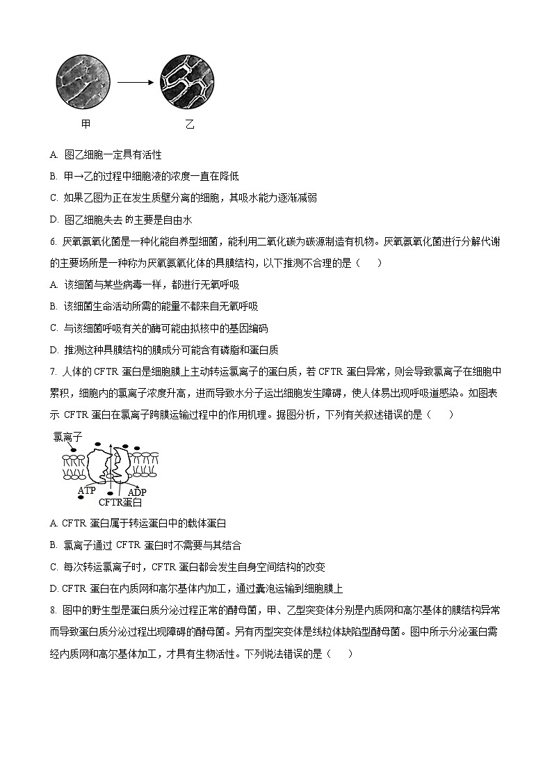 2022-2023學年重慶市璧山區(qū)重點中學高三10月月考試題 生物（解析版）第2頁