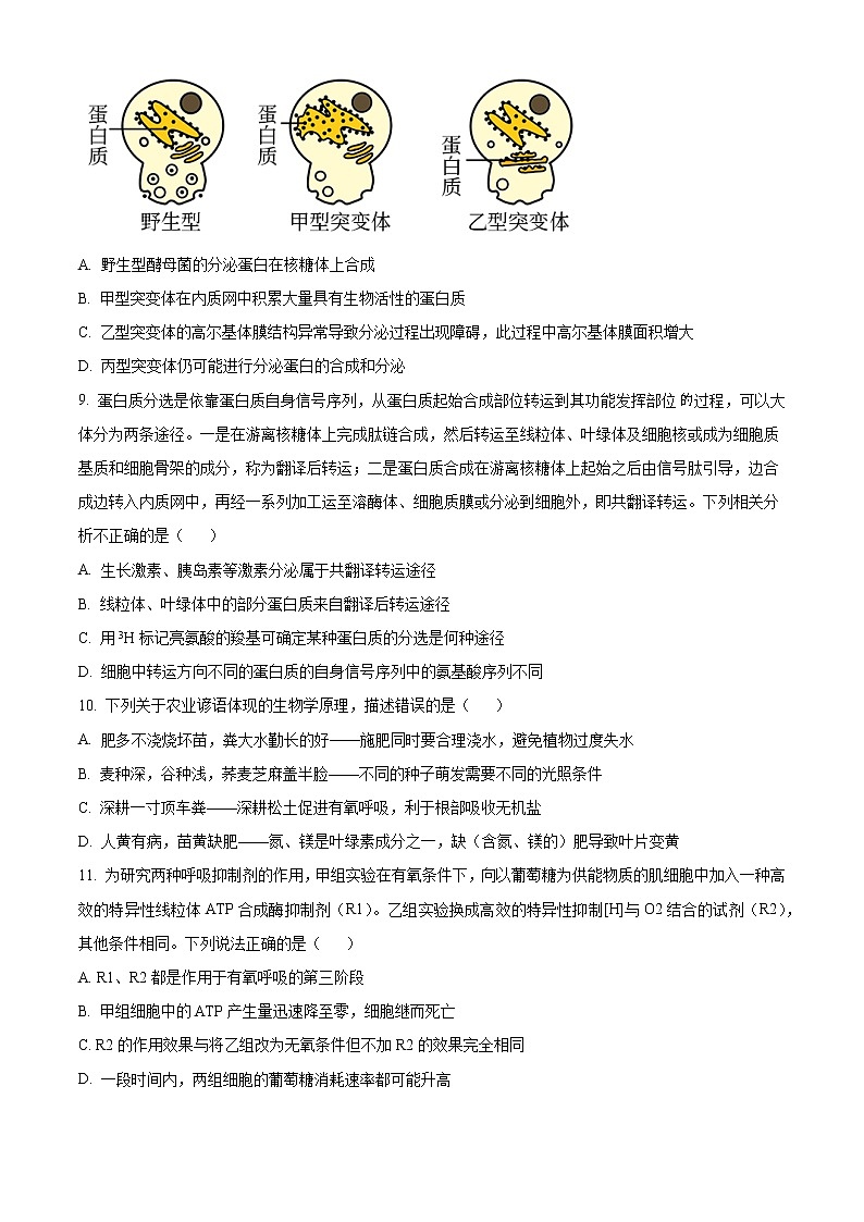 2022-2023學年重慶市璧山區(qū)重點中學高三10月月考試題 生物（解析版）第3頁