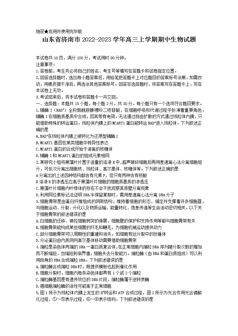 山东省济南市2022-2023学年高三上学期期中生物试题01