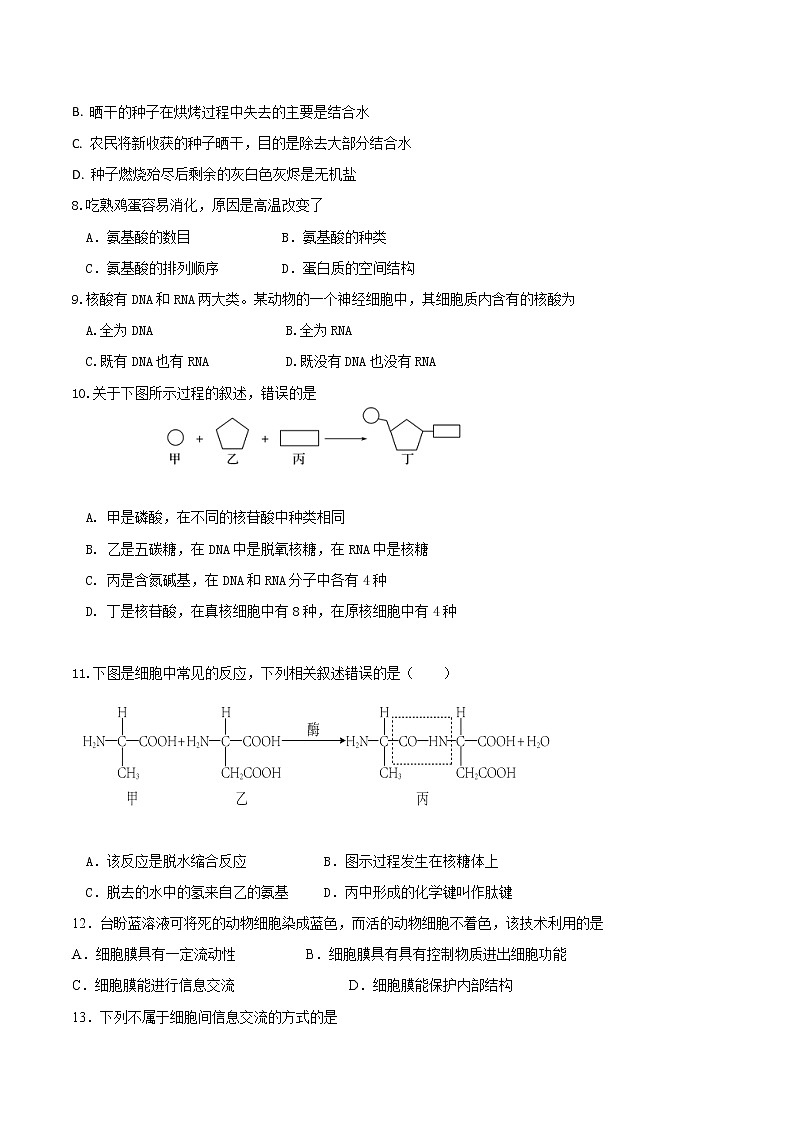 河北武强中学2022-2023学年高一上学期期中考试生物试卷02