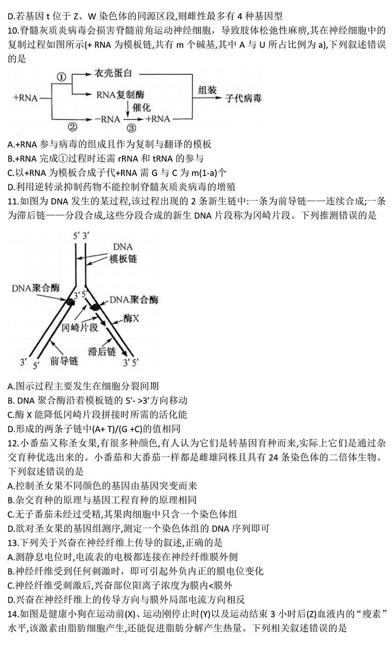 2022-2023学年河南九师联盟高三上学期摸底联考生物试题及答案03