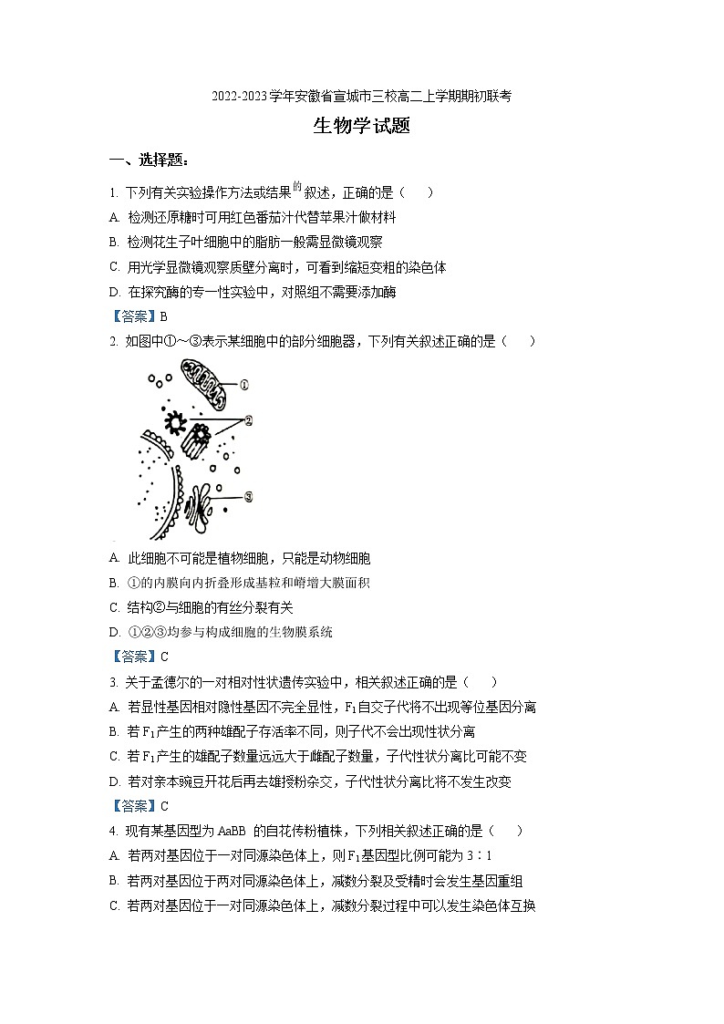 2022-2023学年安徽省宣城市三校高二上学期期初联考 生物试题 Word版第1页