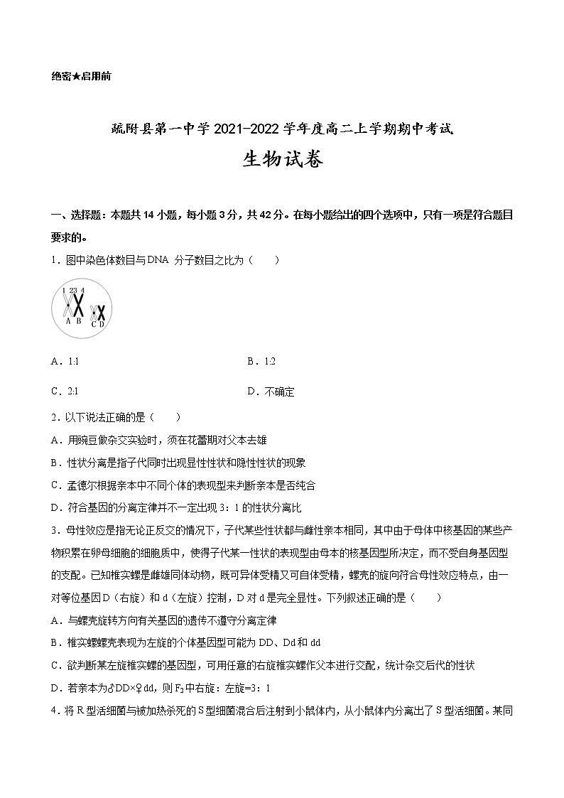 2021-2022学年新疆维吾尔自治区疏附县第一中学高二上学期期中考试生物试题 Word版第1页