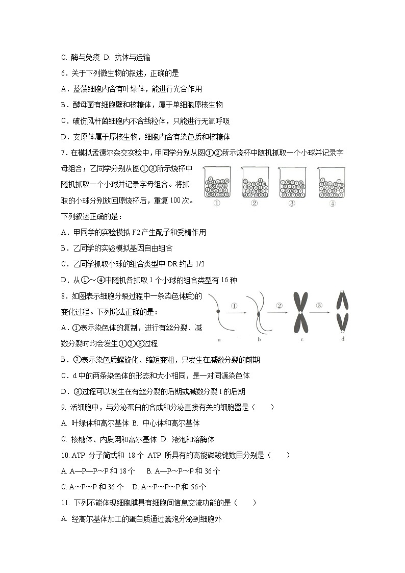 2022-2023学年河南省开封市高二上学期8月开学联考生物试题【Word版】第2页