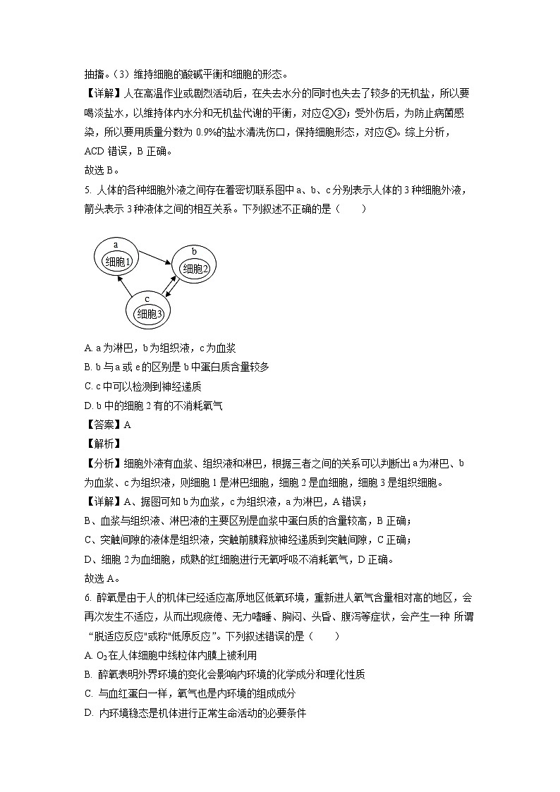 2022-2023学年河南省中原名校高二上学期第一次联考生物试题(解析版)03