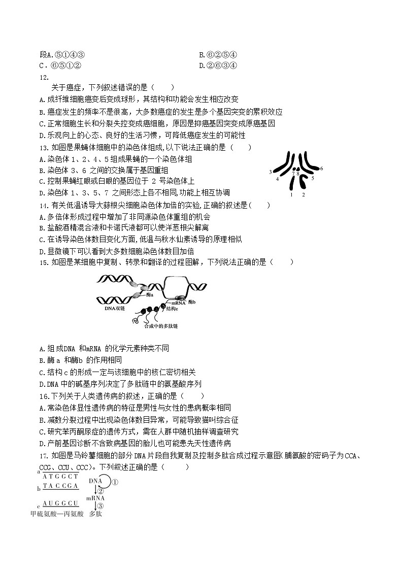 2022-2023学年黑龙江省哈尔滨师范大学附属中学高二上学期开学考试生物试题(Word版)第3页