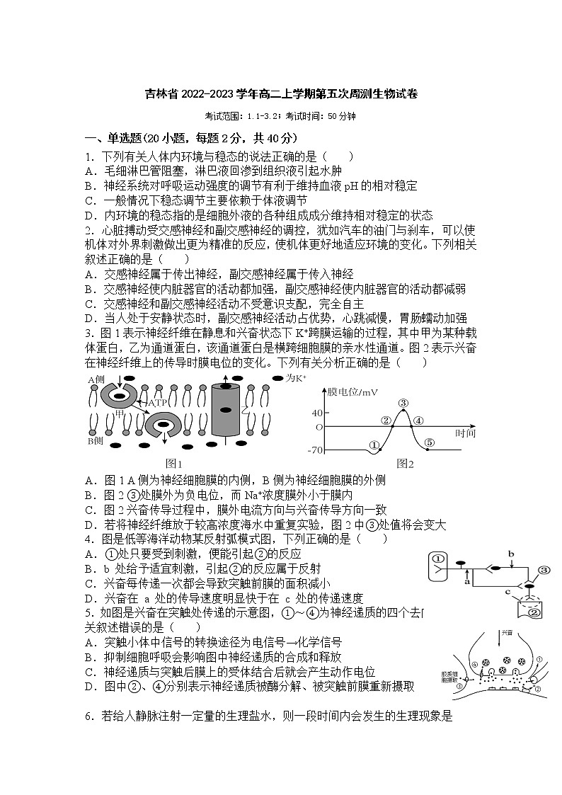 2022-2023学年吉林省高二上学期第五次周测生物试题【Word版】01