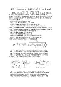 福建省连城县第一中学2022-2023学年高二生物上学期月考二试卷（Word版附答案）