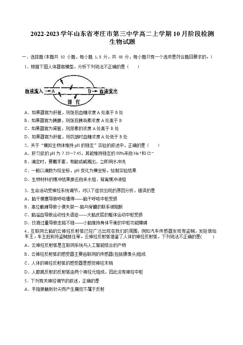 2022-2023学年山东省枣庄市第三中学高二上学期10月阶段检测生物试题 word版第1页