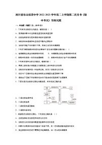 2022-2023学年四川省乐山沫若中学高二上学期第二次月考（期中考试）生物试题