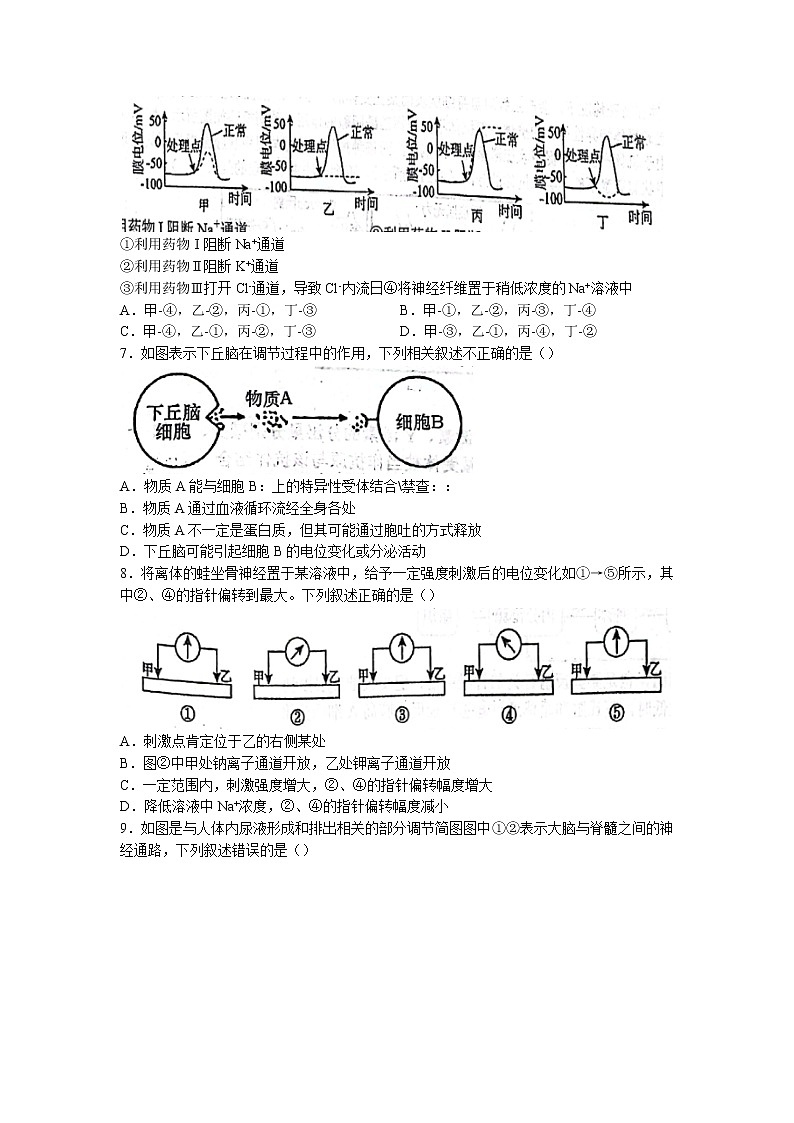 2022-2023学年四川师范大学附中高二上学期期中生物试题第2页