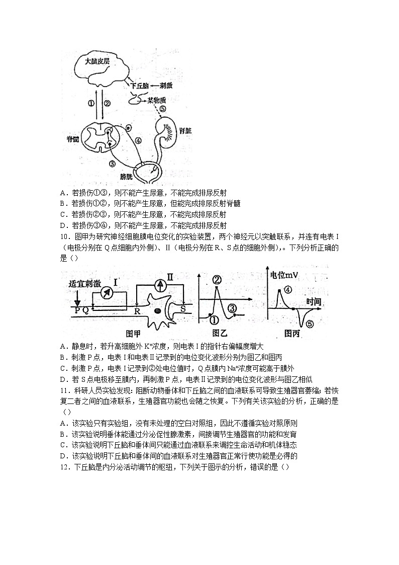 2022-2023学年四川师范大学附中高二上学期期中生物试题第3页