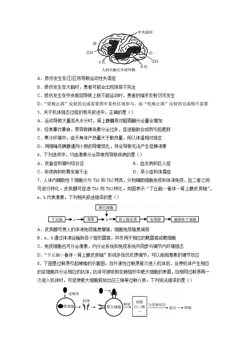 湖南省怀化市2022-2023学年高二上学期期中生物试题第2页