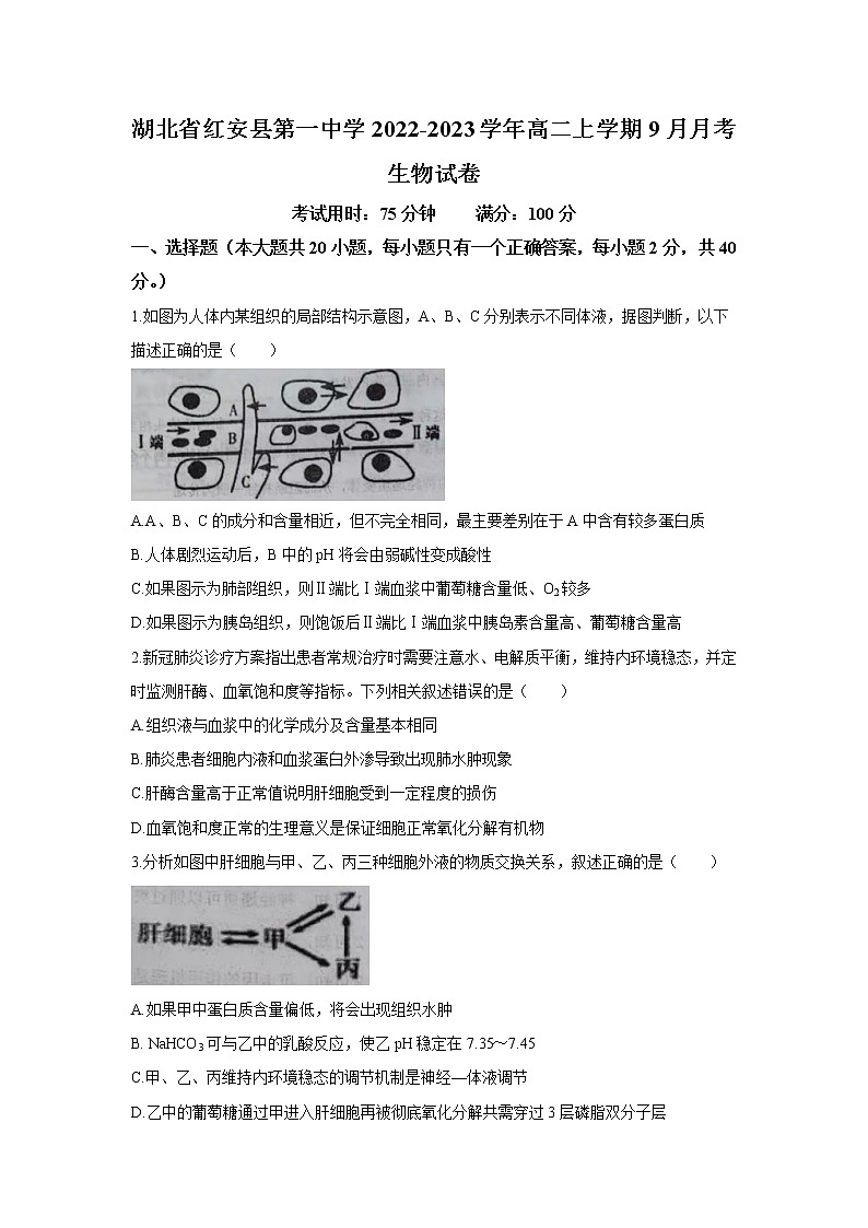 2022-2023学年湖北省红安县第一中学高二上学期9月月考生物试题(Word版)第1页