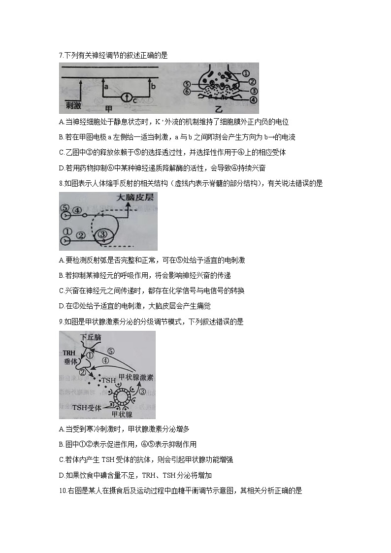 2022-2023学年湖北省红安县第一中学高二上学期9月月考生物试题(Word版)第3页